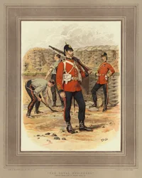 Die königlichen Ingenieure